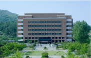 Project Name